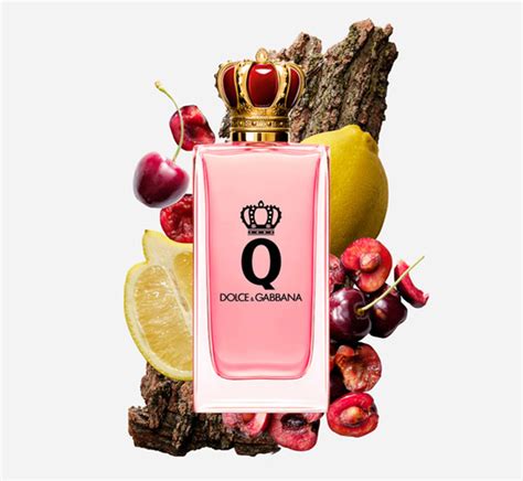 q dolce gabbana parfum|dolce and gabbana perfume website.